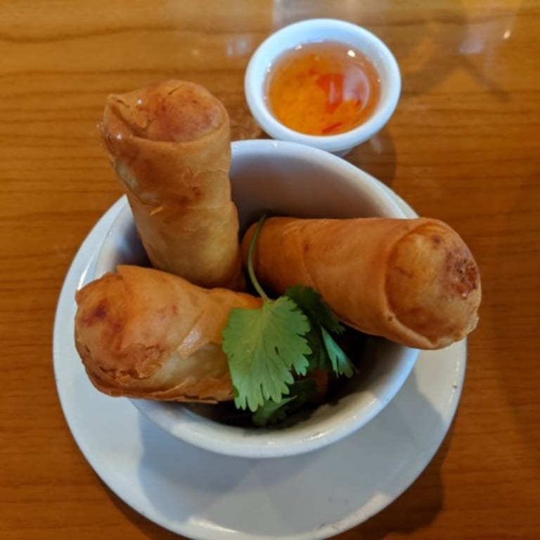 Savor Our Spring Rolls